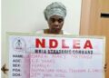 NIGERIA: 67-Year-Old Woman Nabbed With Cocaine Hidden in Fake Plantain Peels