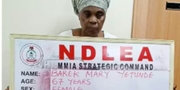 NIGERIA: 67-Year-Old Woman Nabbed With Cocaine Hidden in Fake Plantain Peels