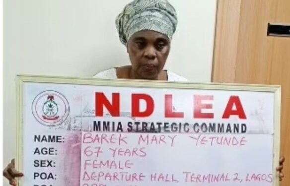 NIGERIA: 67-Year-Old Woman Nabbed With Cocaine Hidden in Fake Plantain Peels