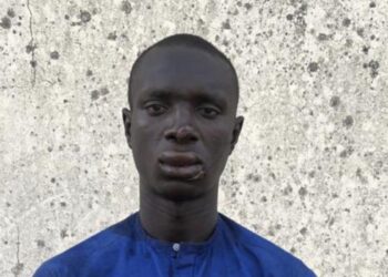 Nigeria: Suspected ISWAP Informant Arrested in Borno, Admits to Leading Terrorists in Deadly Gubio Attack