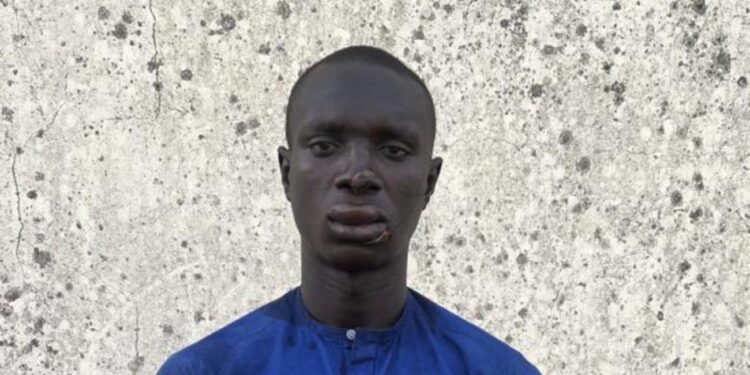 Nigeria: Suspected ISWAP Informant Arrested in Borno, Admits to Leading Terrorists in Deadly Gubio Attack
