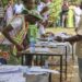 Nigeria: Osun Stakeholders Warn of Fake News and Violence Risks Ahead of August 15 Governorship Election