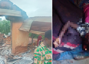 Nigeria: 30 Killed in Fresh Attack on Southern Kaduna Village, Houses Burned