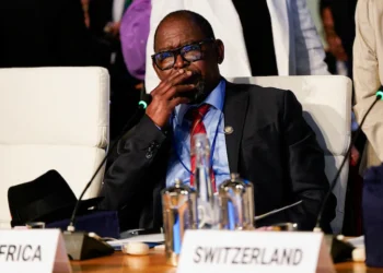 Mass Board Exodus Forces Godongwana to Rebuild South Africa’s $178 Billion Asset Manager