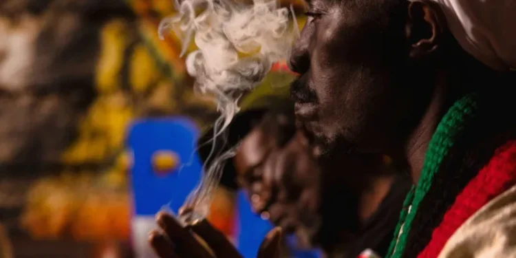 Kenyan High Court Rejects Rastafarians’ Plea to Legalise Cannabis for Religious Use