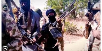 Nigeria: Gunmen Kill 4 Security Personnel, Abduct Zamfara LG Chairman and Wife in Bungudu Night Raid