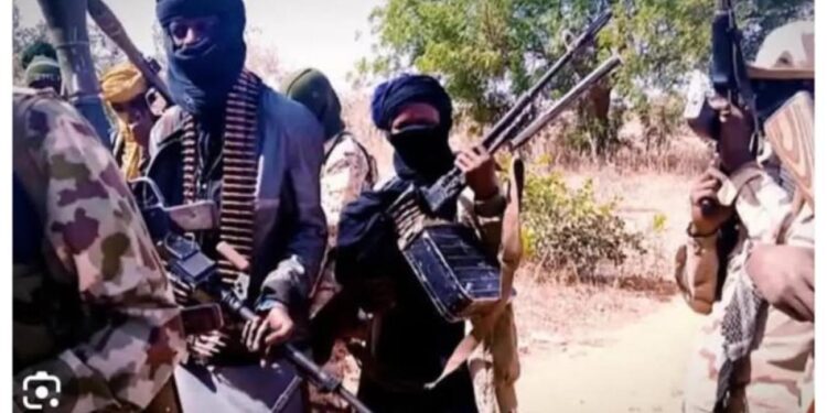Nigeria: Gunmen Kill 4 Security Personnel, Abduct Zamfara LG Chairman and Wife in Bungudu Night Raid