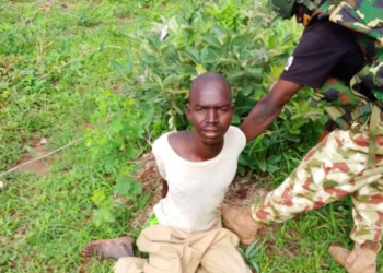 Nigerian Troops Arrest Sudanese Terror Suspect, Ghanaian Woman in Borno