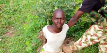 Nigerian Troops Arrest Sudanese Terror Suspect, Ghanaian Woman in Borno