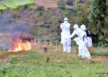 Uganda Reports Single Marburg Case in Toddler