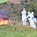 Uganda Reports Single Marburg Case in Toddler