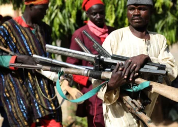Nigeria: Court Sentences Bandit Ally to 20 Years for Withholding Information on Terrorism Suspect