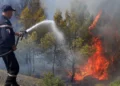 Wildfires Kill 12 in Northern Algeria as Heatwave Fuels Dozens of Blazes