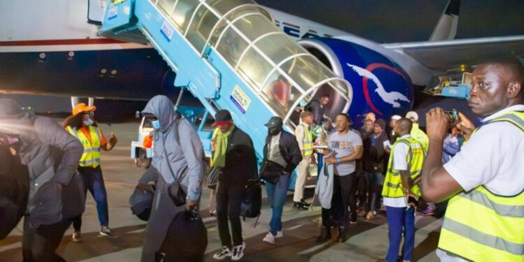 Nigeria Opens Online Portal for South Africans Seeking Voluntary Return