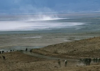 Three Tanzanian Rangers Arrested After Man Dies Following Detention in Ngorongoro