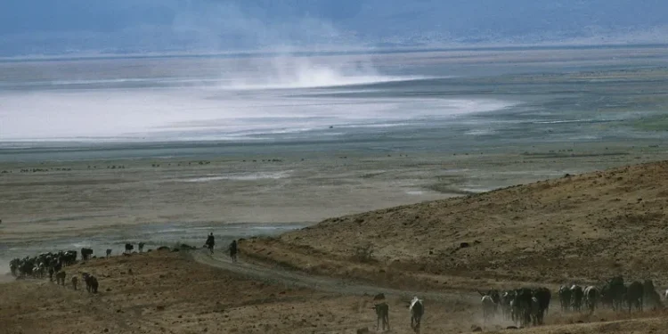 Three Tanzanian Rangers Arrested After Man Dies Following Detention in Ngorongoro