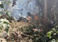 VIDEO: Helicopter Crashes in Kenya’s Samburu County