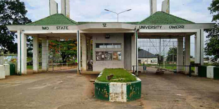 Nigeria: State University Lecturers Launch Indefinite Strike Across 5 States Over Unpaid Entitlements