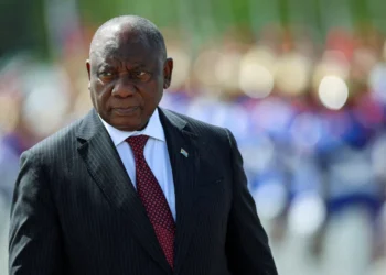South Africa’s Democratic Alliance Takes Land Expropriation Law to Court Amid Coalition Tensions