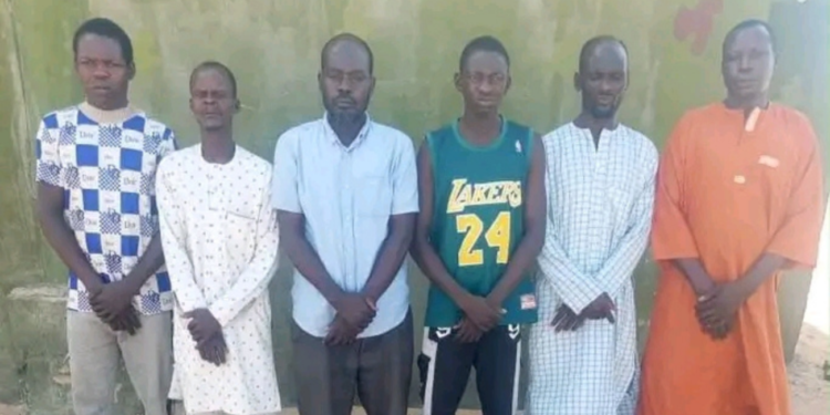 Nigerian Troops Arrest Six Suspected ISWAP Fundraisers in Borno