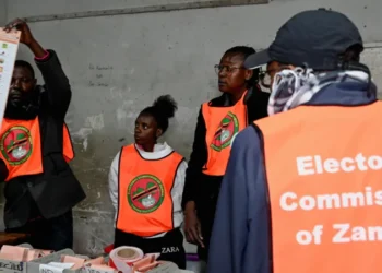 Zambian Authorities Arrest 11, Including Opposition Leaders, Over Alleged Insurrection Plot