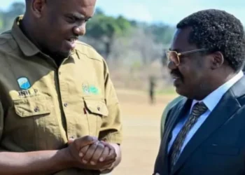 Tanzania Ruling Party Expels Vice President Nchimbi, Taps Energy Minister Ndejembi as Replacement