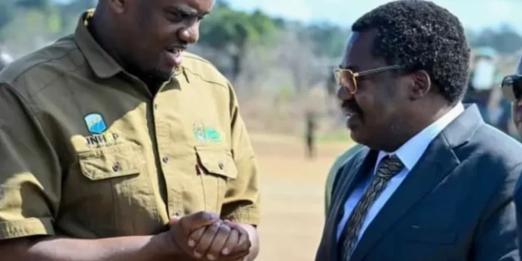 Tanzania Ruling Party Expels Vice President Nchimbi, Taps Energy Minister Ndejembi as Replacement