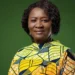 Ghana Vice President Calls for Greater African Ownership of Energy Sector