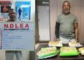 Nigeria: NDLEA Arrests Wanted Heroin Kingpin in Cotonou, Returns Him to Nigeria Over 49.7kg MMIA Seizure