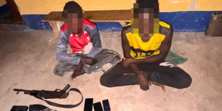 Two Suspected ISWAP Fighters Surrender to Nigerian Troops in Borno