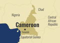 Police Officer Killed, Five Teachers Kidnapped in Cameroon Attack